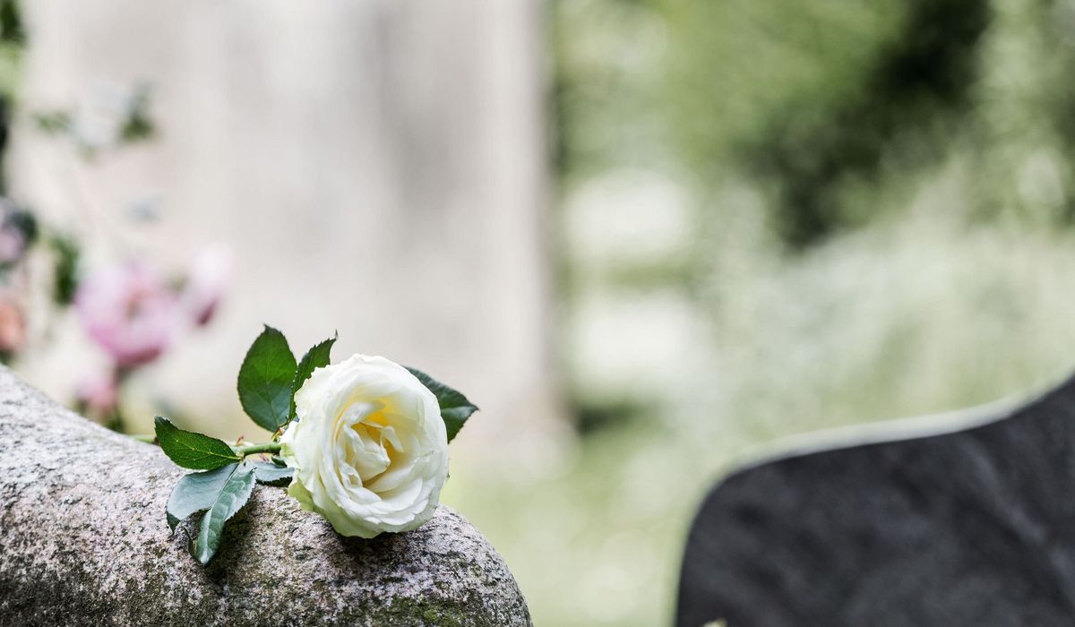 Rose auf einem Grabmal