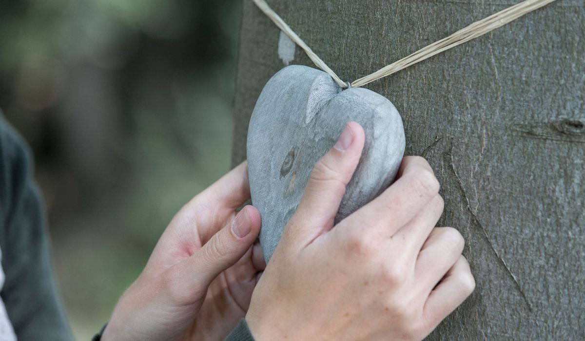 Herz an einem Baum im Bestattungswald